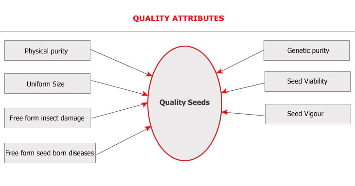 quality-assurance-chart